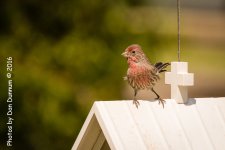 Porch Sitting -3661-Edit.jpg
