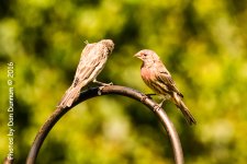 Porch Sitting -3668-Edit.jpg
