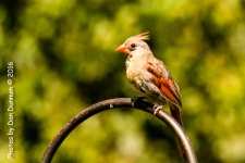 Porch Sitting -3681-Edit.jpg