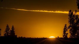 1-DSC_0842.jpg