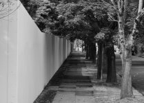 guy walking by.jpg