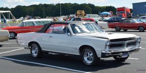 DSC_0056 nxd.jpg