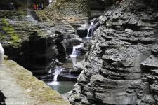 _DSC3896.jpg