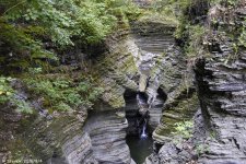 _DSC3856.jpg