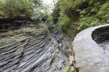 _DSC3863.jpg