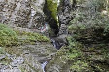 _DSC3864.jpg