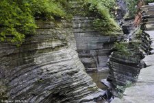_DSC3873.jpg