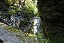 _DSC3879.jpg
