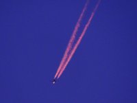 DSCN9563.jpg