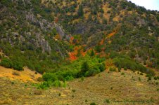 Autumn in Byington Mountains 9-4-2016.jpg