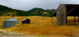 Byington Outbuildings  #2 9-4-2016.jpg