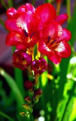 720_1609.jpg