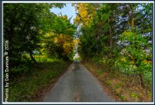 Morning Walk-3721-Edit.jpg