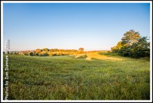Morning Walk-3726-Edit.jpg
