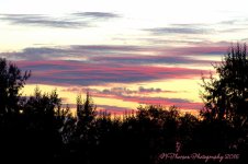 Sunset at Jensen Pond #4 9-6-2016.jpg