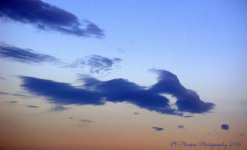Shark Cloud 9-6-2016.jpg