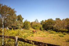 Mid Day Ride-3792.jpg