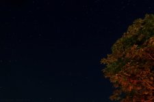 _DSC3933-1.jpg