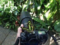 thumb_IMG_0606_1024.jpg