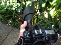 thumb_IMG_0607_1024.jpg