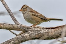 IVA_3957-Edit-Edit.jpg