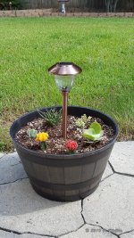 20160905_153025.jpg