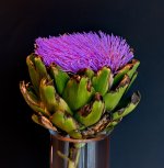 Artichoke2.jpg