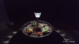 20160905_202035.jpg