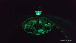 20160905_202053.jpg