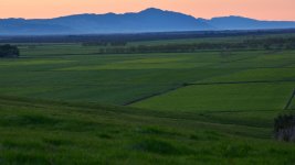DSC_4591.jpg