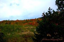 East Salt Lake City Mountains  #3  9-11-2016.jpg