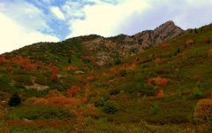 East Salt Lake City Mountains  #5  9-11-2016.jpg