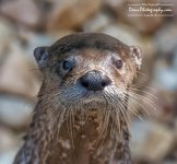 09-09-2016_0063-Edit.jpg