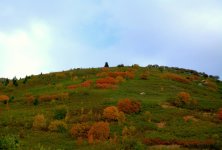 East Salt Lake City Mountains  #6  9-11-2016.jpg