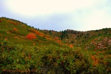 East Salt Lake City Mountains  #7  9-11-2016.jpg