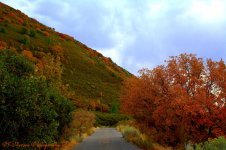 East Salt Lake City Mountains  #8  9-11-2016.jpg