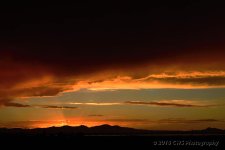 9-11-16-cr_DSC_4201.jpg