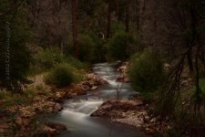 9-10-16-cr-ND10-TurkeyCreek__D7K4237.jpg
