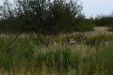 9-10-16-cr-bucks__D7K4263.jpg