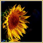1-DSC_4048.jpg