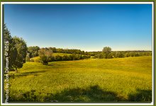 Pasture Land-4024-Edit.jpg