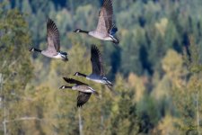 IVA_4179-Edit.jpg