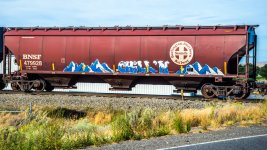 1-DSC_5421.jpg