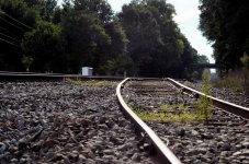2016-08-21 Fairforst SC Spur Track - for upload.jpg