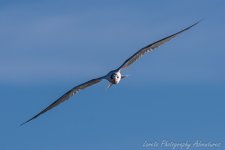 DSC_1258.jpg