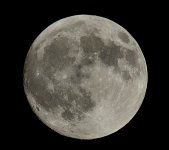 ROY_9268.JPG