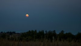 1-DSC_6298.jpg