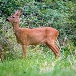 20160909-_DSC4212.jpg