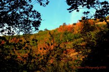Autumn in the Mountains  9-17-2016.jpg