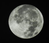 DSCN1105.jpg